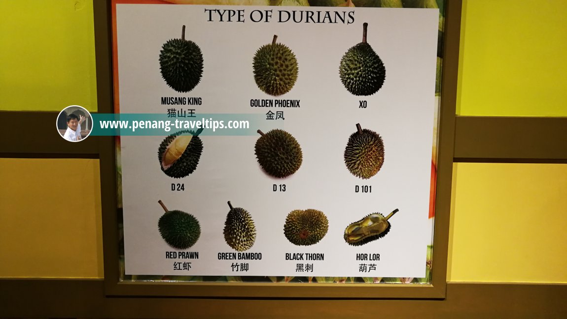 Types of Durians