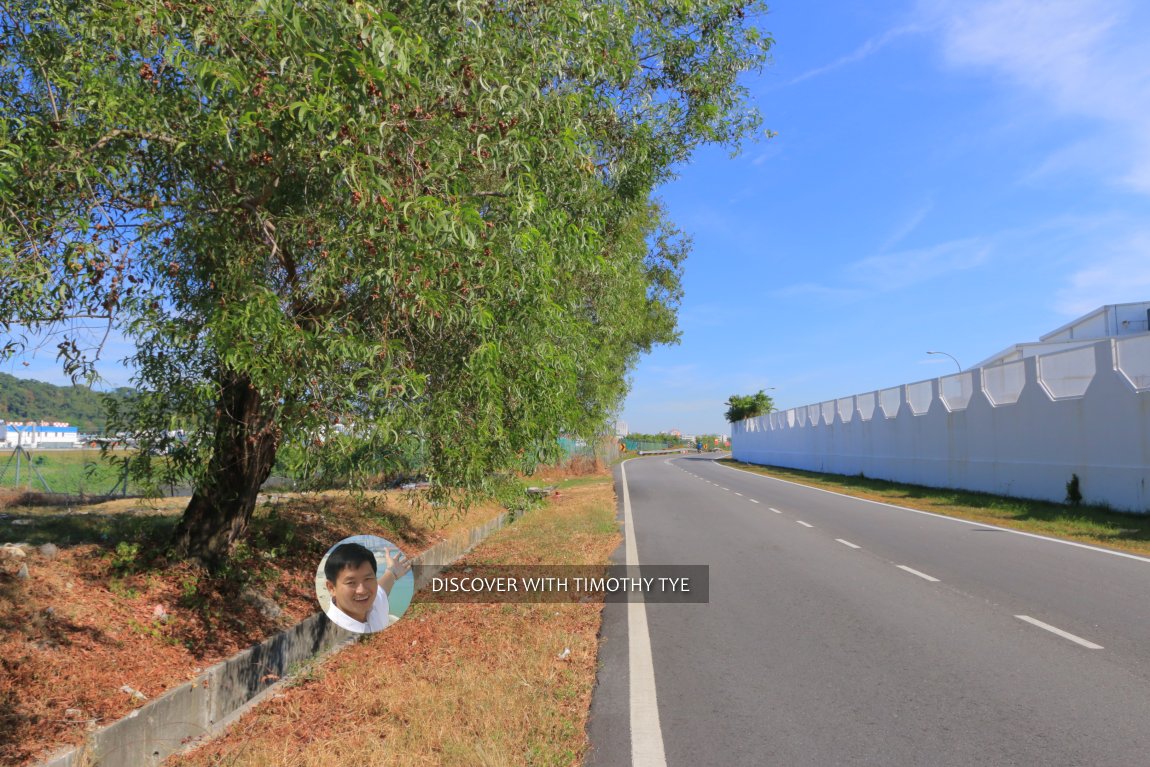 Bund Road, Batu Maung, Penang