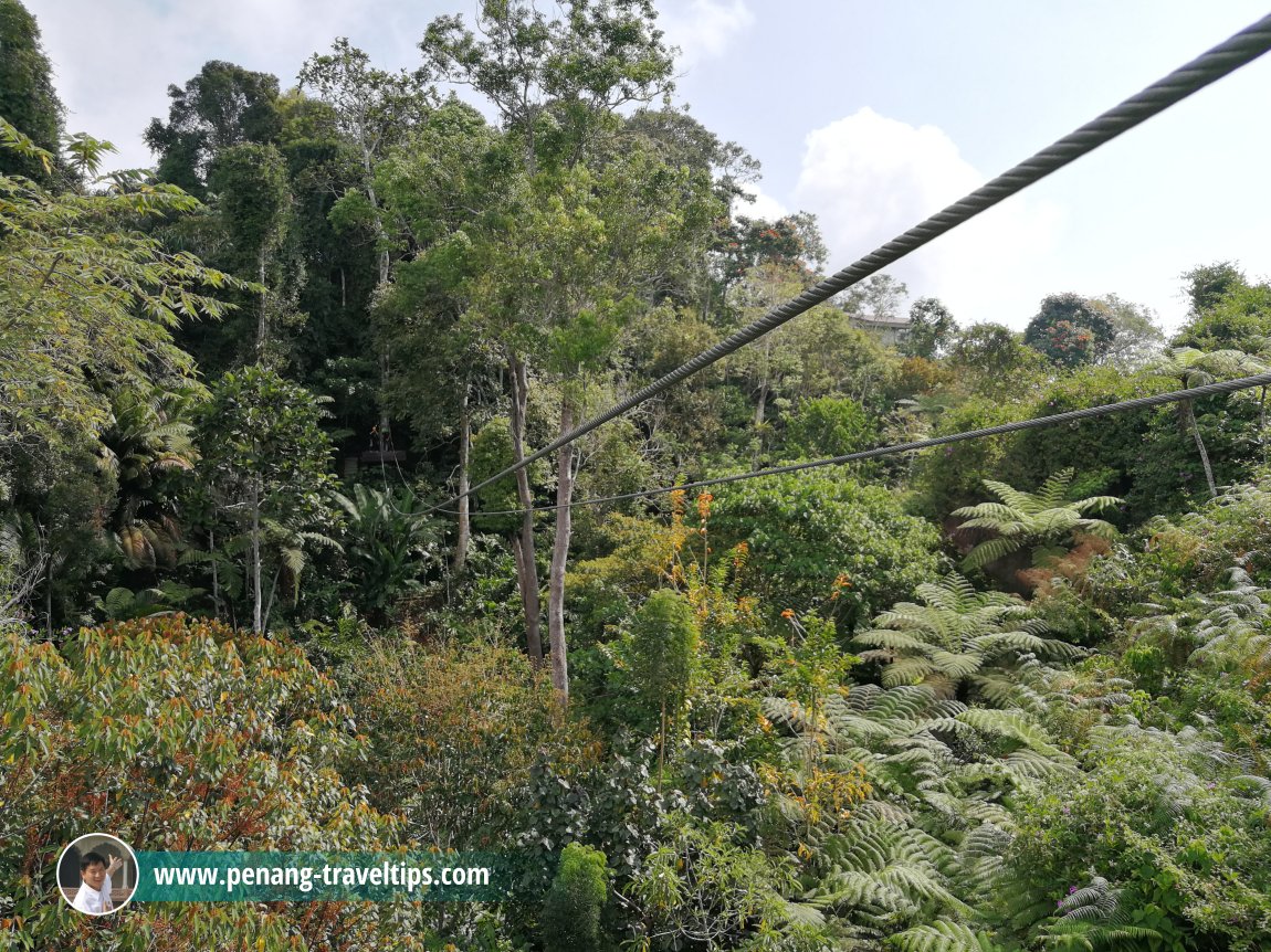 The Habitat Penang Hill