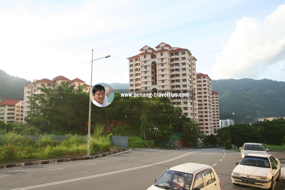 Jalan Bukit Kukus, Paya Terubong