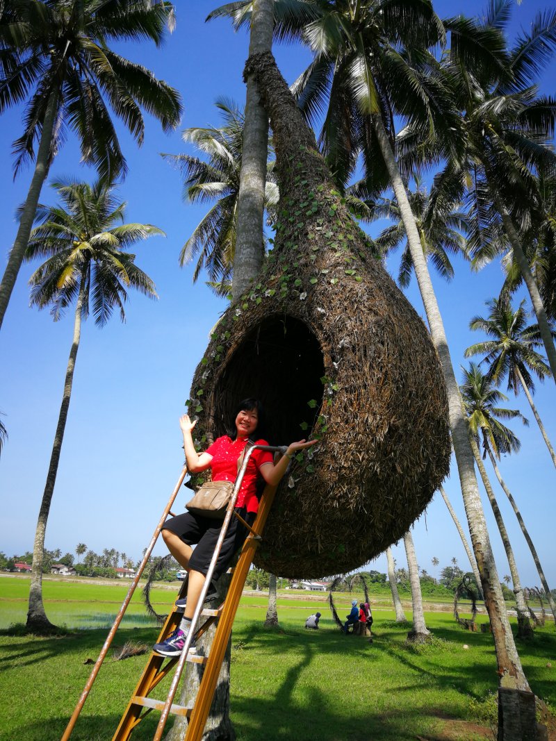 Kampung Agong, Bakar Kapor, Penaga, Seberang Perai