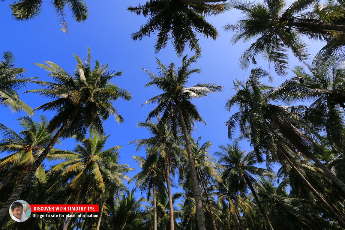 Kampung Agong, Bakar Kapor, Penaga, Seberang Perai