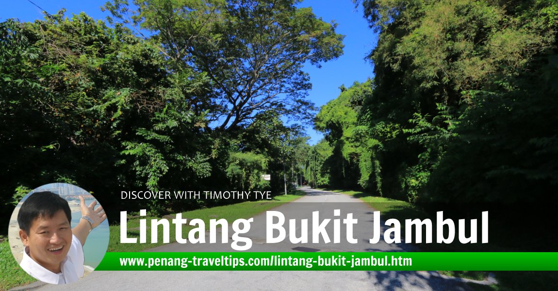 Lintang Bukit Jambul