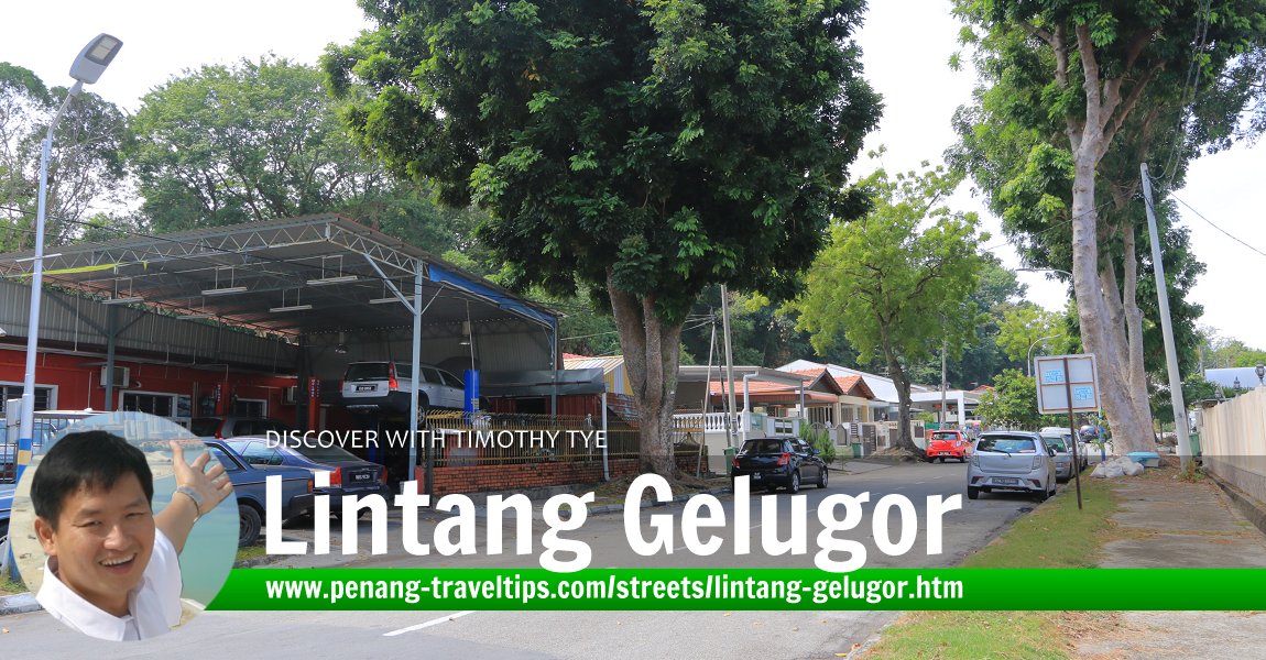 Lintang Gelugor, Gelugor, Penang