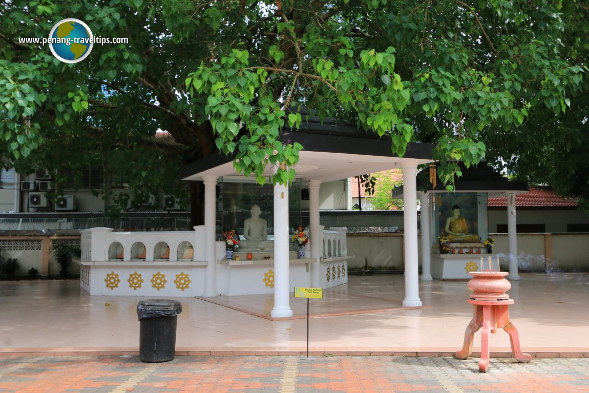 Buddhist shrines under a Bodhi tree