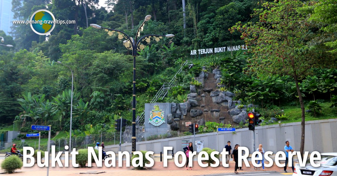 Bukit Nanas Forest Reserve, Kuala Lumpur