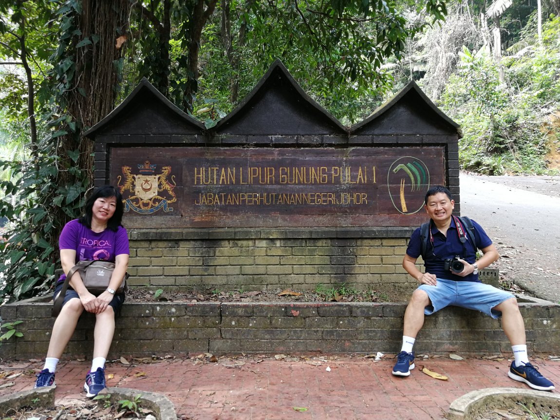 Gunung Pulai Recreational Forest