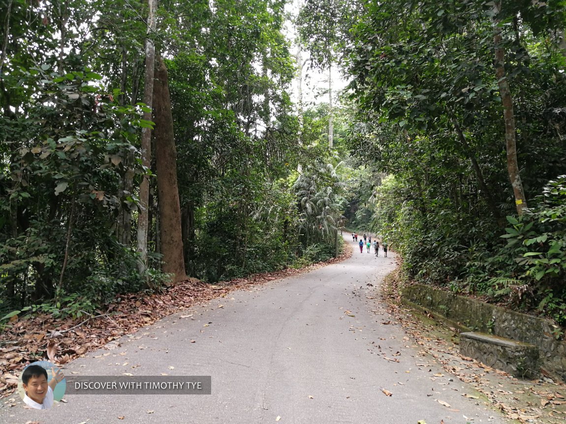 Gunung Pulai Recreational Forest