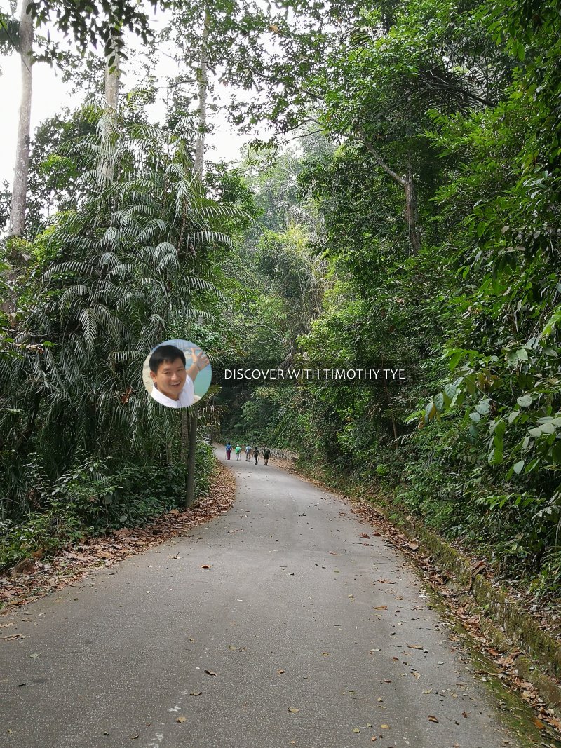 Gunung Pulai Recreational Forest