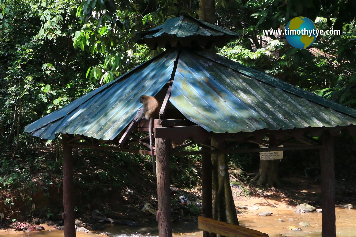 Hutan Lipur Kanching