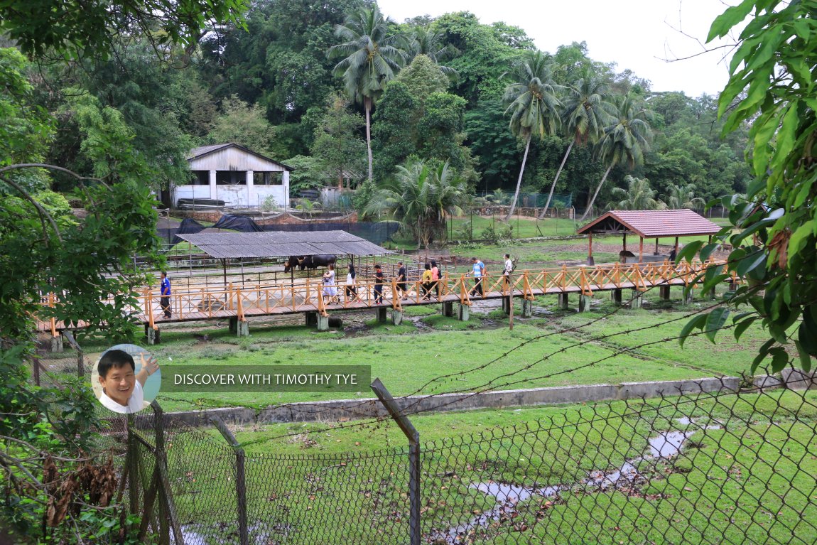 Zoo Johor, Johor Bahru