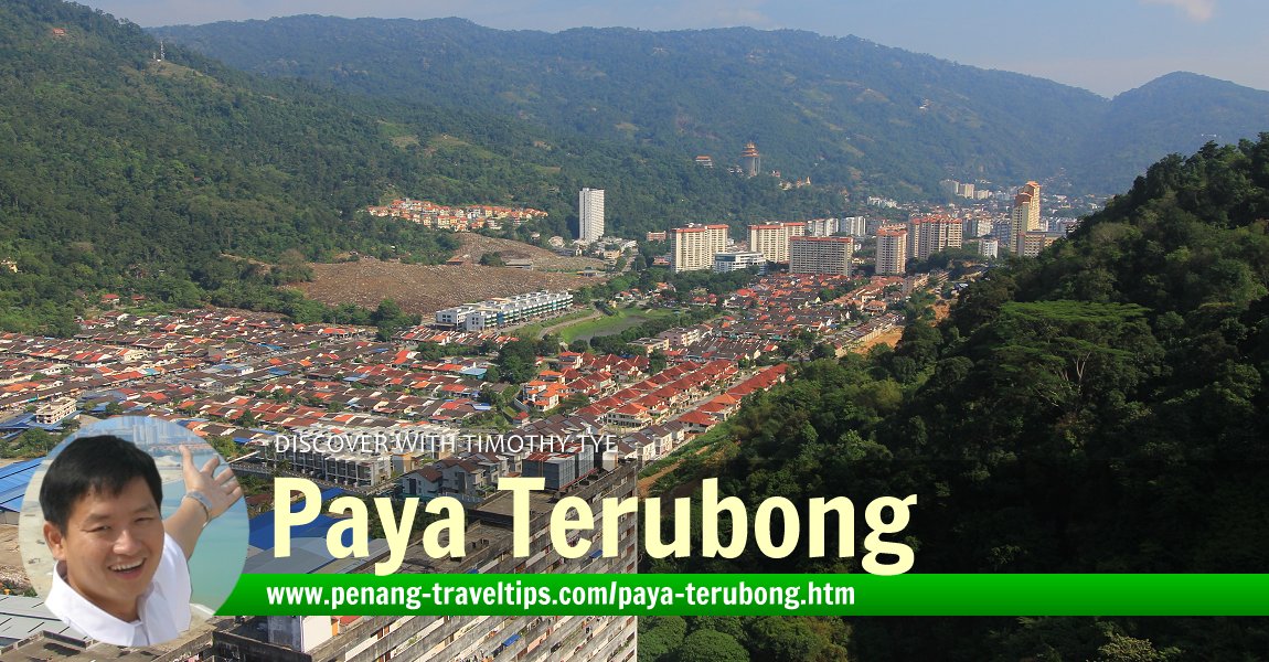 Paya Terubong, Penang