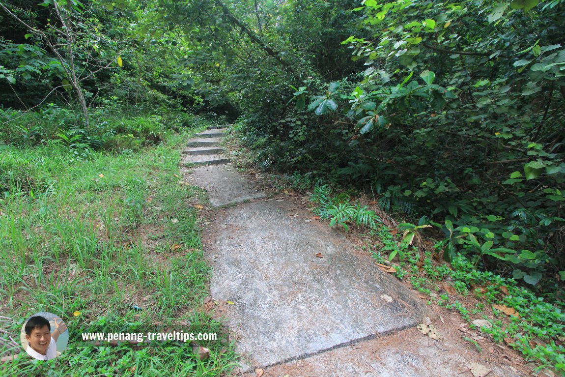 Shelter at the Penang National Park