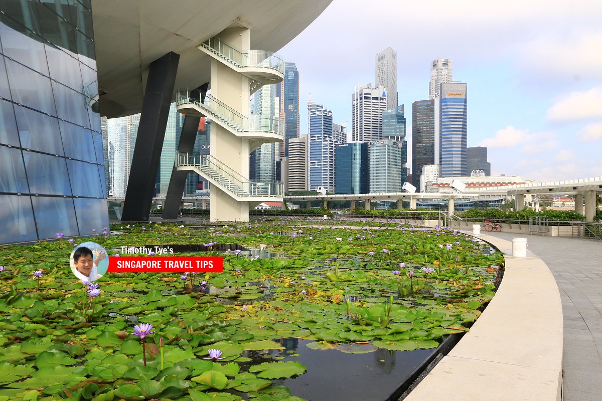 ArtScience Museum, Singapore