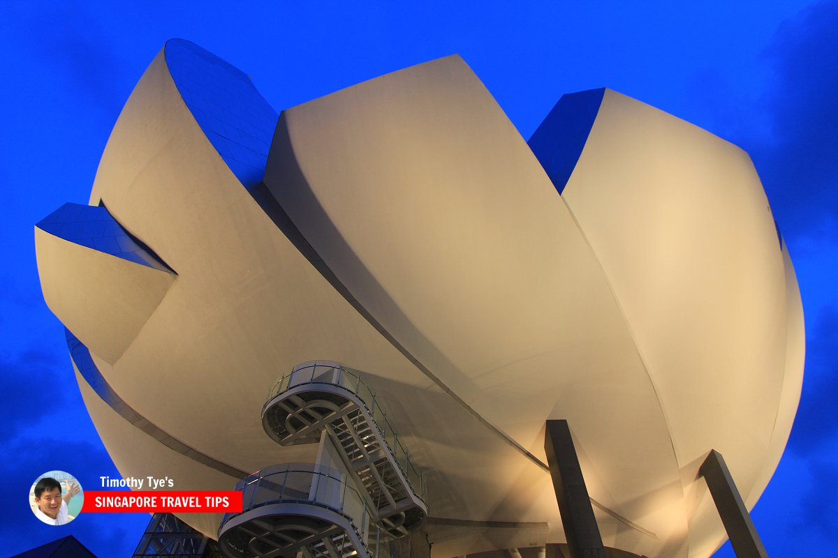 ArtScience Museum at dusk