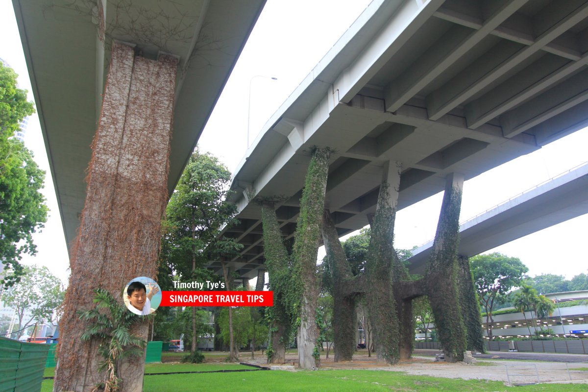 Benjamin Sheares Bridge