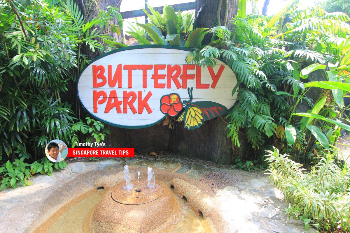 Butterfly Park and Insect Kingdom Sentosa