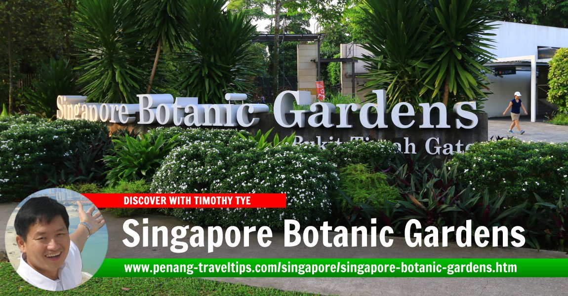 Singapore Botanic Gardens