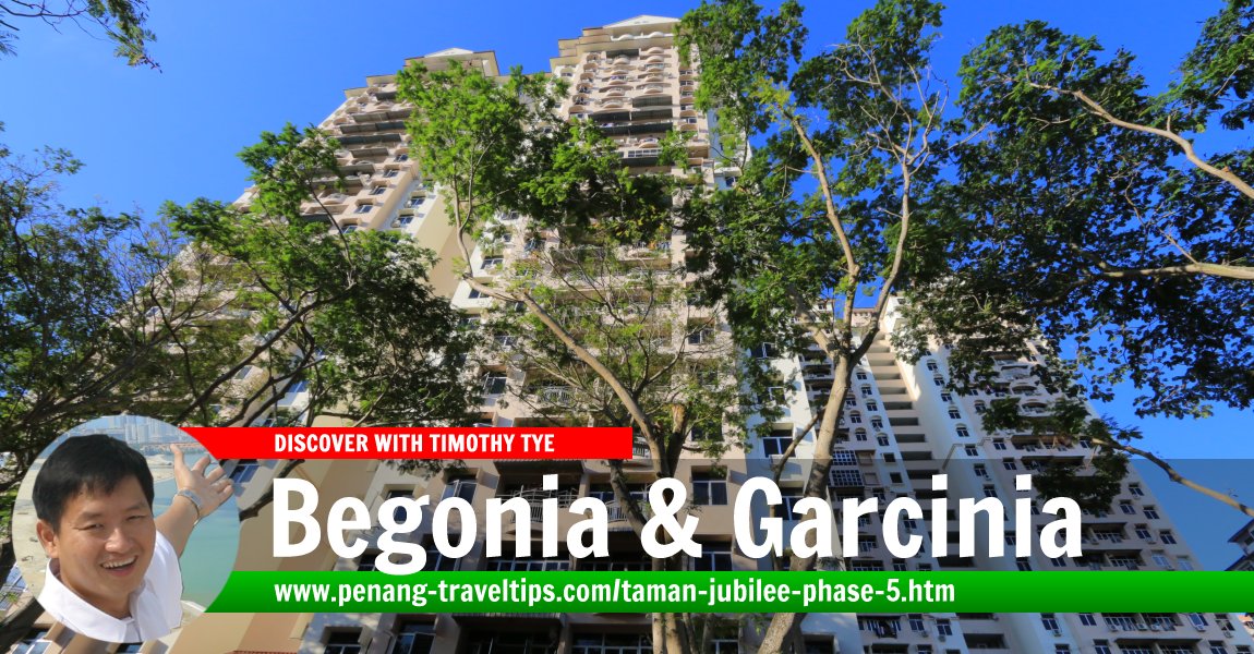 Begonia & Garcinia, Taman Jubilee Phase 5