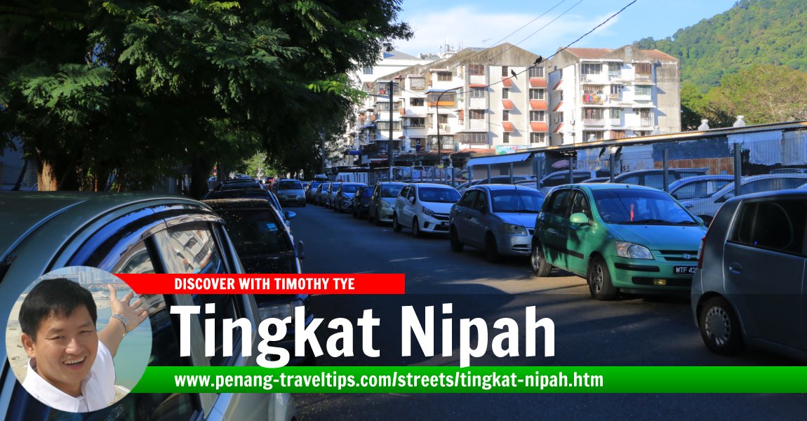 Tingkat Nipah