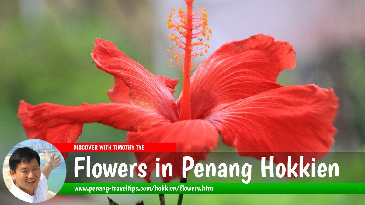 Flowers in Penang Hokkien