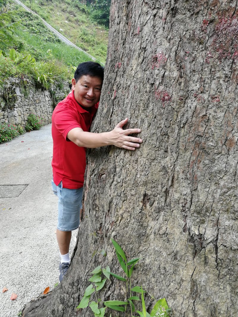 Forest Bathing at The Habitat Penang Hill