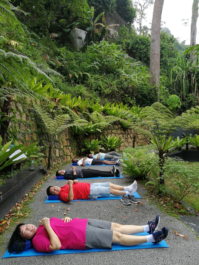Forest Bathing at The Habitat Penang Hill