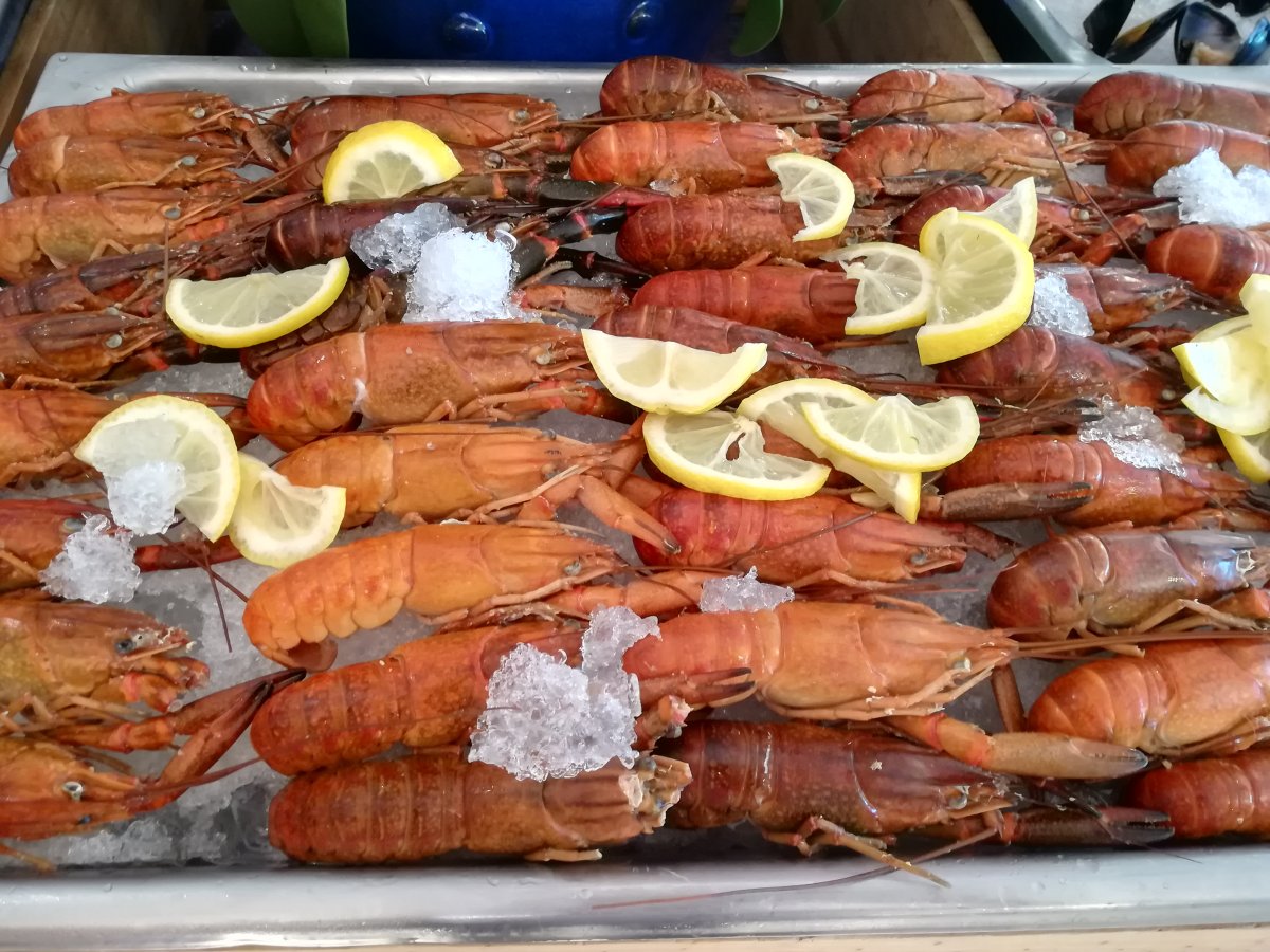 Surf & Turf Buffet Dinner, Iconic Hotel