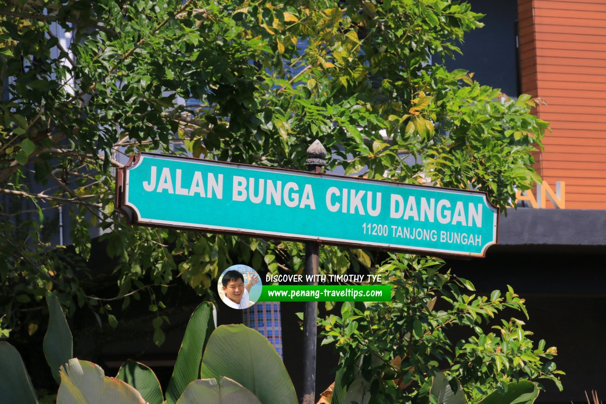 Jalan Bunga Ciku Dangan roadsign