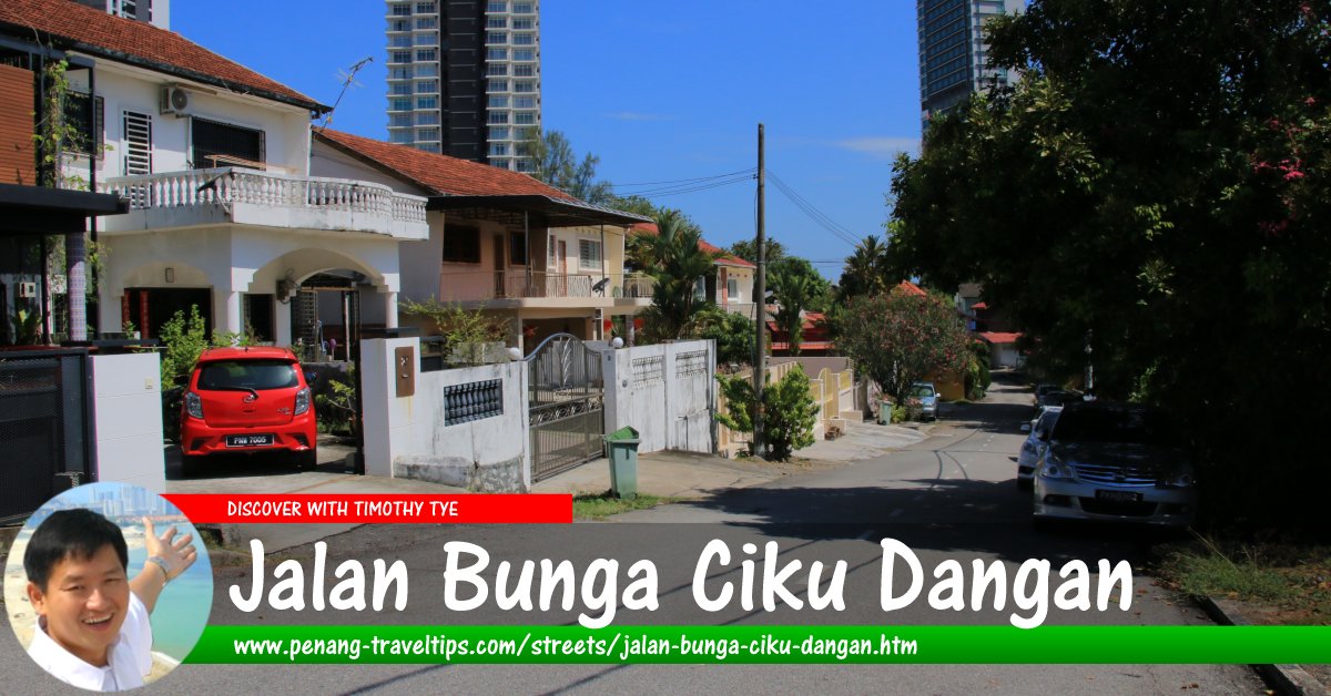 Jalan Bunga Ciku Dangan, Tanjung Bungah