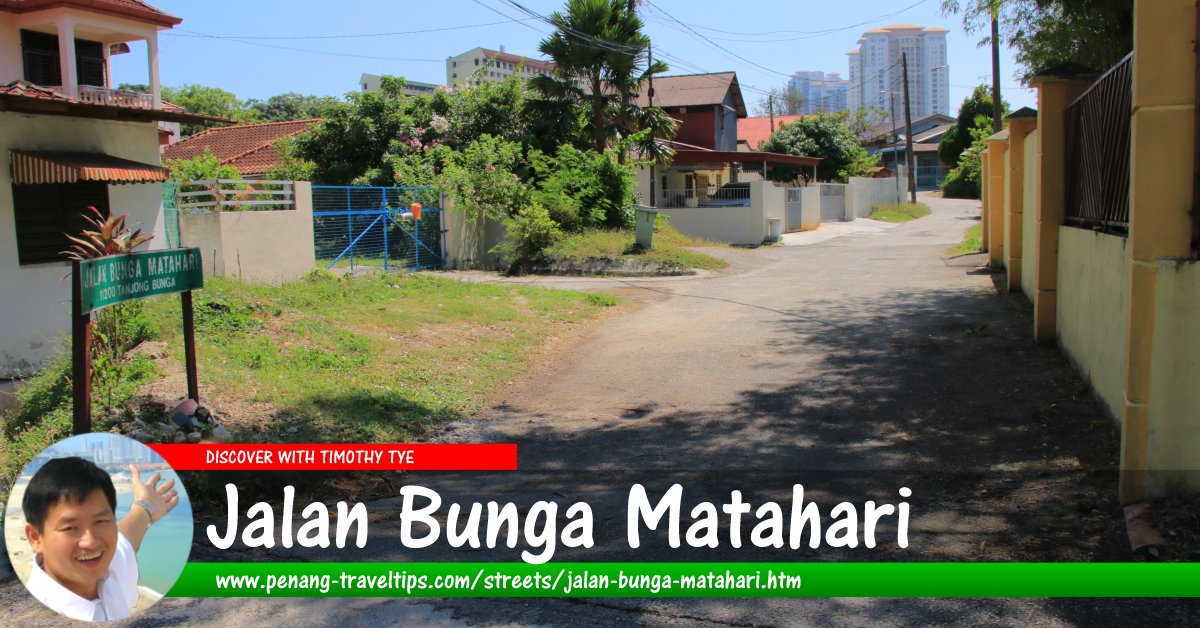 Jalan Bunga Matahari, Tanjung Bungah