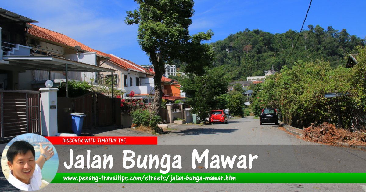 Jalan Bunga Mawar, Tanjung Bungah