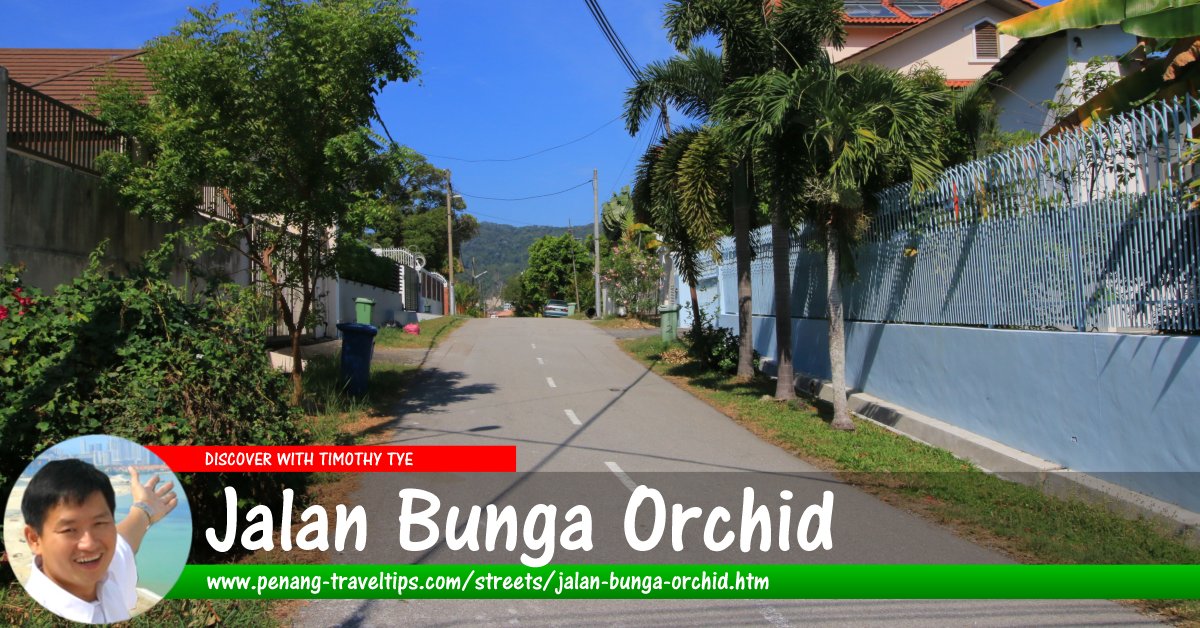 Jalan Bunga Orchid, Tanjung Bungah