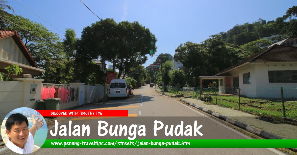 Jalan Bunga Pudak, Tanjung Bungah