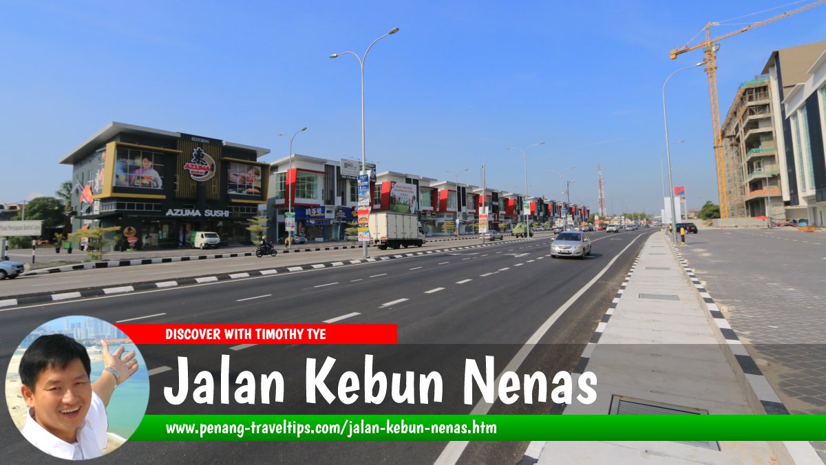 Jalan Kebun Nenas, Bukit Mertajam