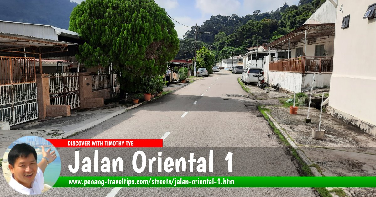 Jalan Oriental 1, Paya Terubong