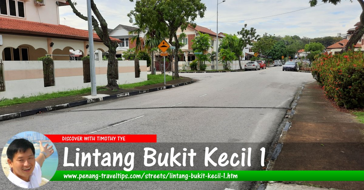 Lintang Bukit Kecil 1, Sungai Nibong