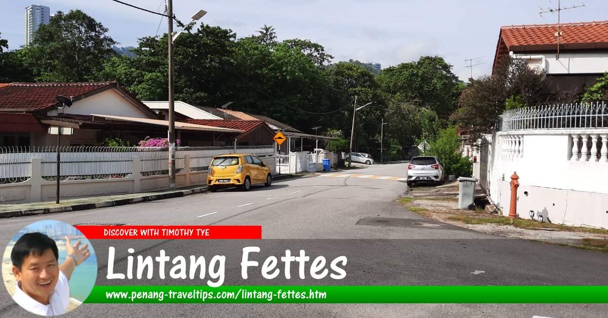 Lintang Fettes, Tanjung Bungah