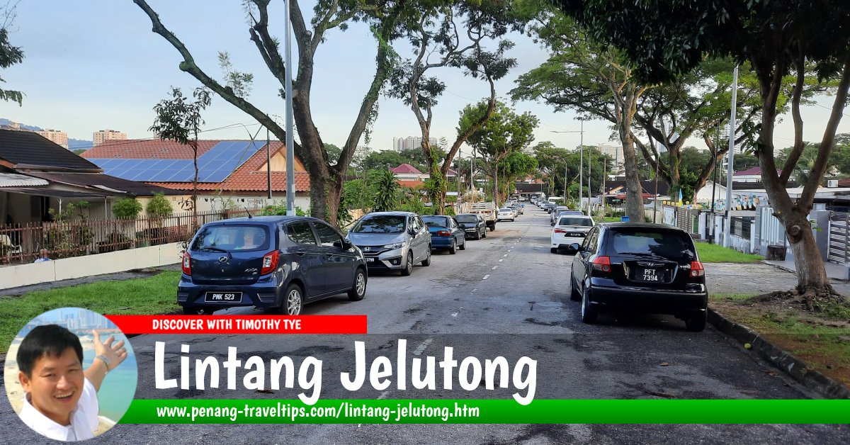 Lintang Jelutong