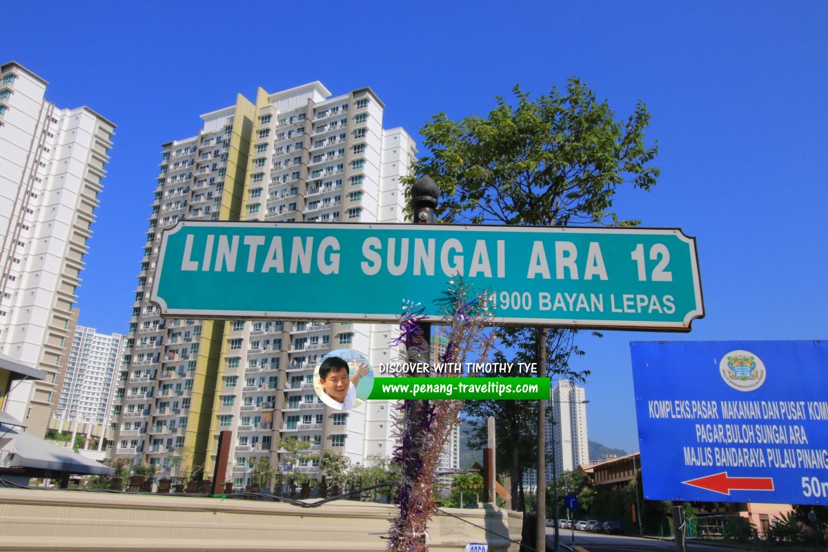 Lintang Sungai Ara 12