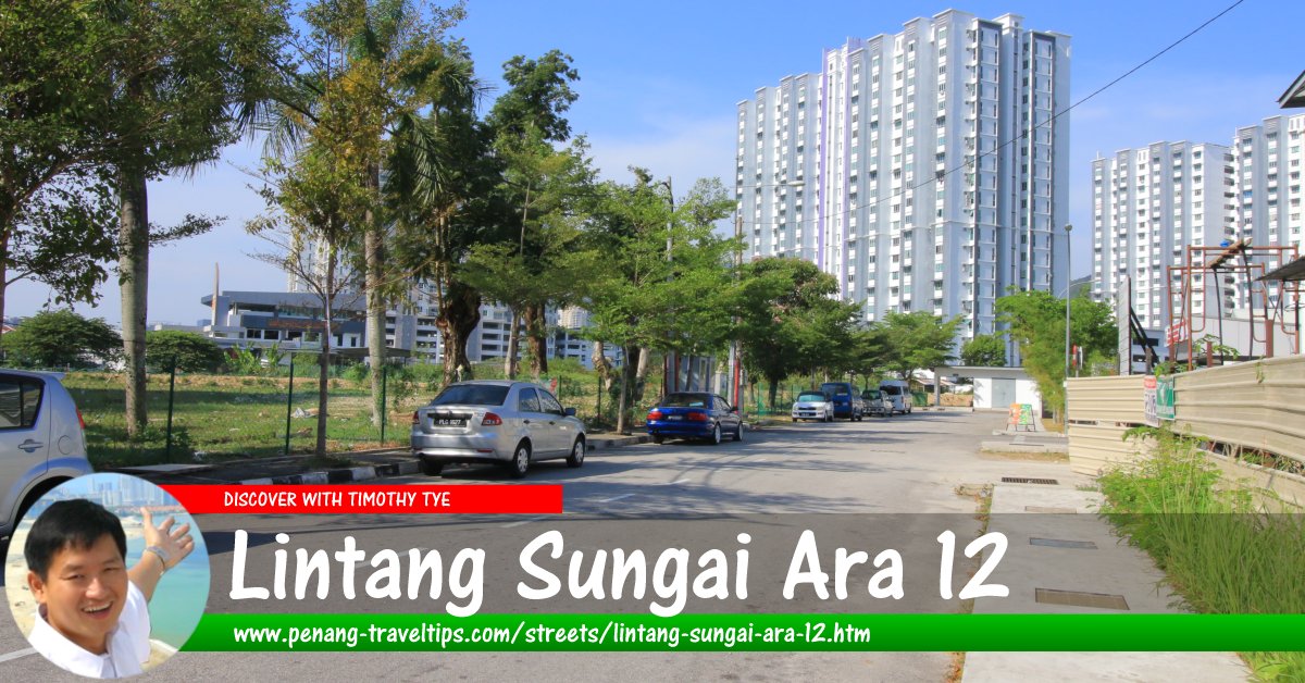 Lintang Sungai Ara 12