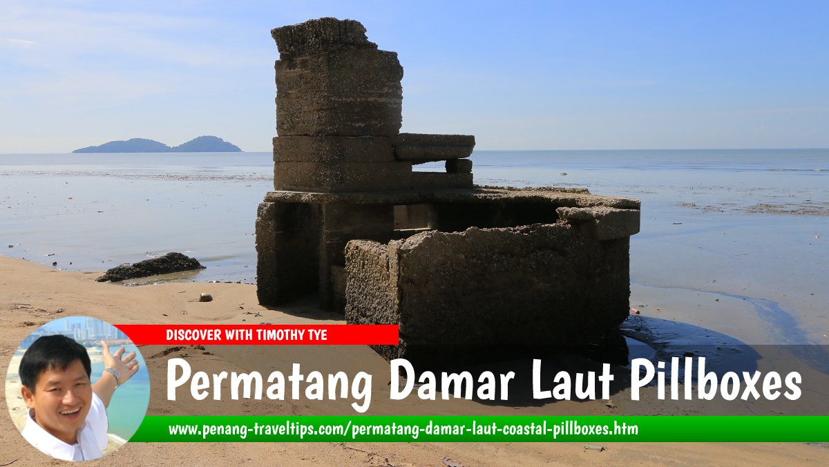 Permatang Damar Laut Pillboxes