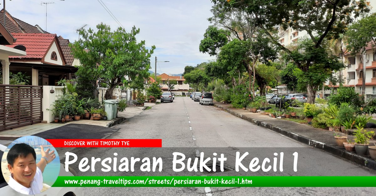 Persiaran Bukit Kecil 1, Sungai Nibong