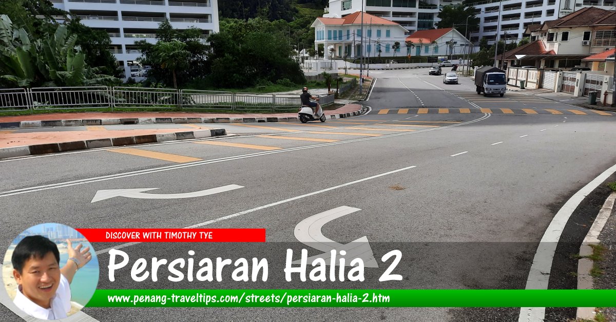 Persiaran Halia 2, Mount Erskine