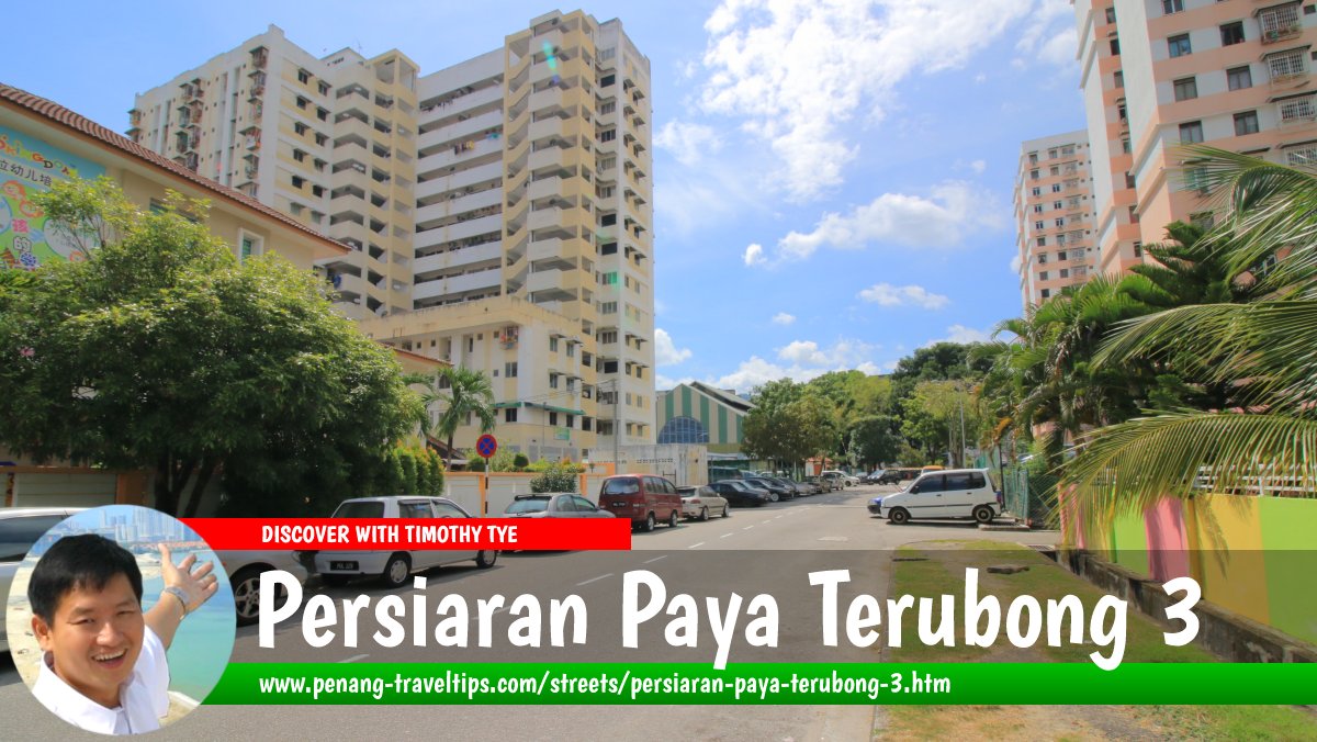 Persiaran Paya Terubong 3, Relau, Penang