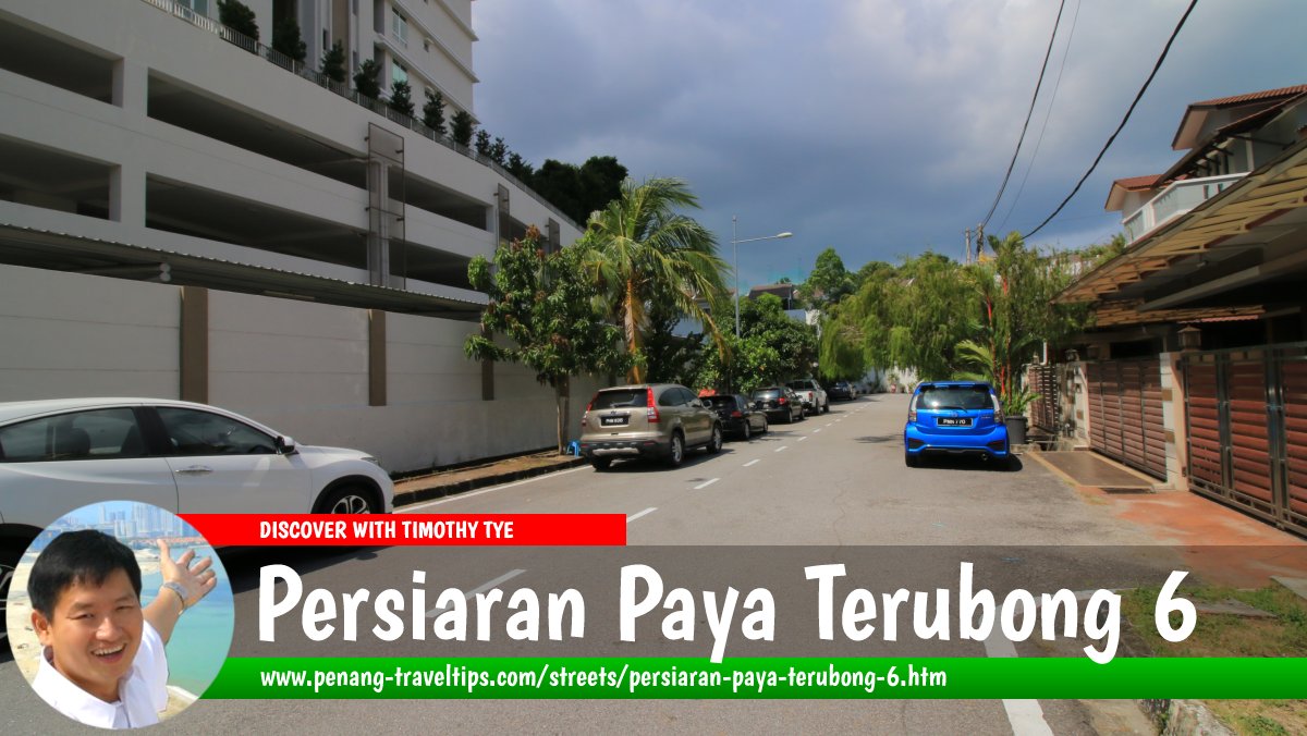 Persiaran Paya Terubong 6, Relau