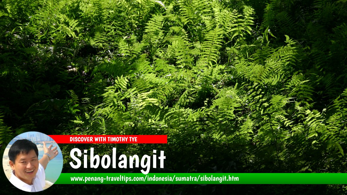 Sibolangit