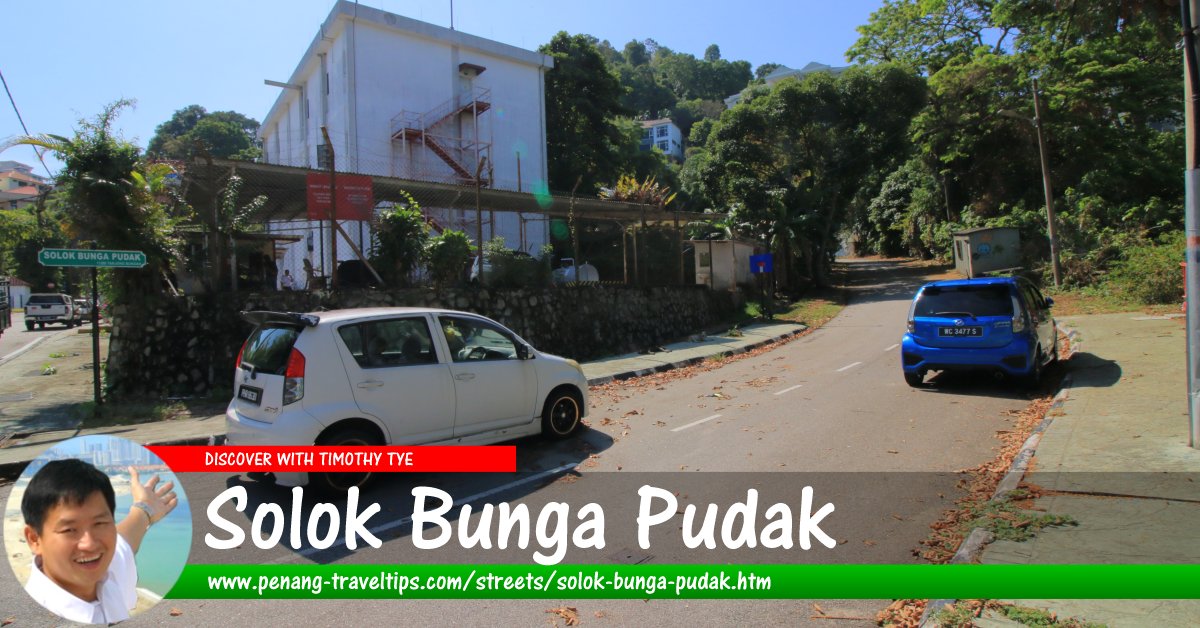 Solok Bunga Pudak, Tanjung Bungah