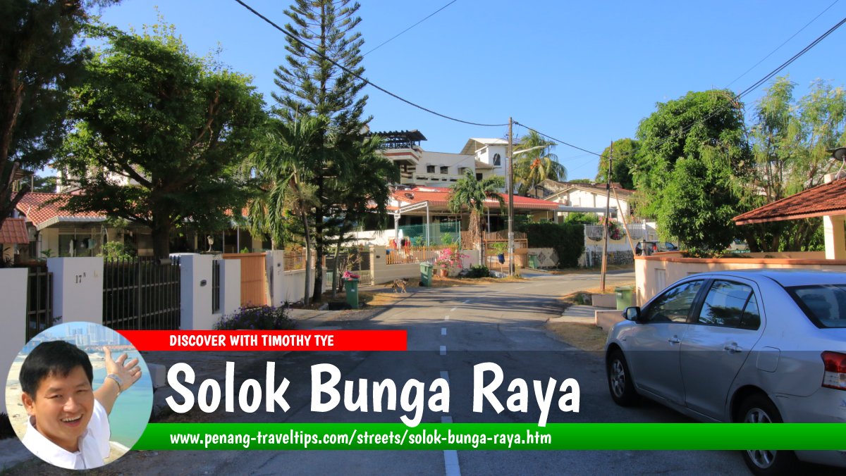 Solok Bunga Raya, Bukit Gelugor, Penang