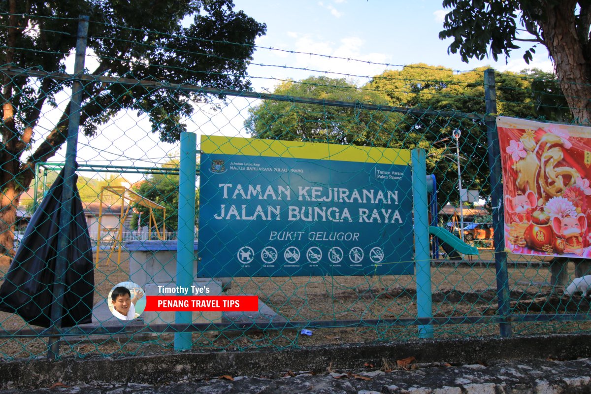 Taman Kejiranan Jalan Bunga Raya, Bukit Gelugor, Penang